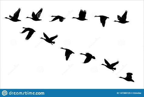 Canada Goose Silhouette, Geese Flying Drawing, Flock Of Geese Tattoo, Canadian Geese Flying, Canada Geese Tattoo, Canada Geese Flying, Canadian Geese Tattoo, Flying Geese Tattoo, Flying Goose Tattoo