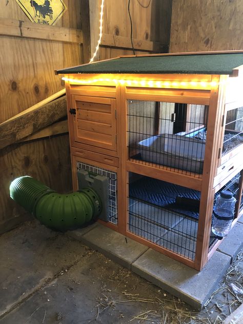 Trixie XL Rabbit Hutch & Zippy Rabbit Tunnels Giant Rabbit Enclosure, Diy Rabbit Tunnel Outdoor, Free Roaming Rabbit Ideas, Rabbit Tunnel, Flemish Giant Rabbit Indoor Enclosure, Guinea Pig Run, Indoor Rabbit Cage, Rabbit Jumping, Guinea Pig Hutch