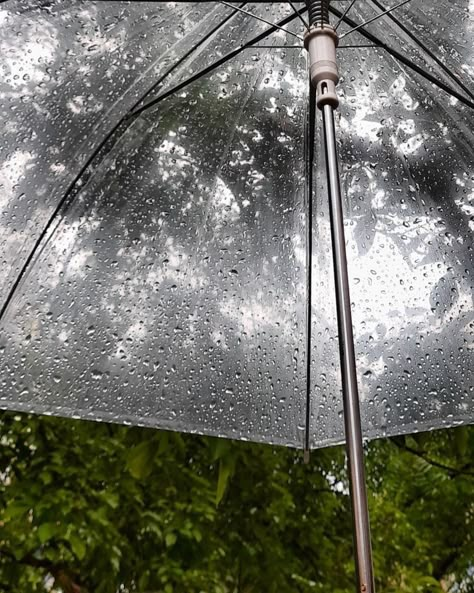 Umbrella In Rain Aesthetic, Rain And Umbrella Aesthetic, Transparent Umbrella Aesthetic, Rain Season Aesthetic, Clear Umbrella Aesthetic, Umbrella Rain Aesthetic, Rain Umbrella Photography, Sidney Aesthetic, Rain Core Aesthetic