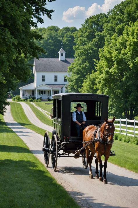 Simple Pleasures: Discovering the Charm of Amish Country in Indiana Amish Aesthetic, Random Theme, Amish Lifestyle, Amish Living, Amish House, Amish Culture, Amish Crafts, Amish Community, Pennsylvania Dutch