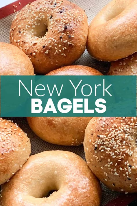 Brueggers Bagels Recipe, Ny Bagels Recipe Homemade, Ny Style Bagels, New York Bagels Recipe, Easy Bagels Recipe Homemade No Yogurt, Small Batch Bagel Recipe, Ny Bagel Recipe, Best Bagel Recipe Homemade, New York Bagels Recipe Homemade