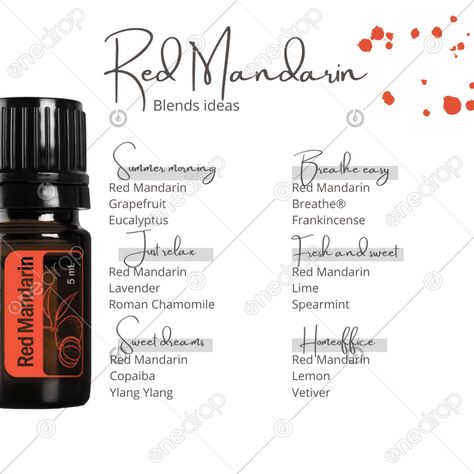 Red Mandarin Diffuser Blends, Red Mandarin Doterra, Southern Brazil, Diy Toner, Doterra Blends, Doterra Diffuser, Mandarin Essential Oil, Doterra Diffuser Blends, Doterra Wellness Advocate