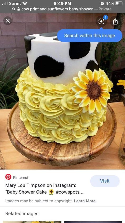 Cow Print And Sunflower Party Decorations, Cow And Sunflower Birthday Theme, Sunflower Cowgirl Party, Sweet 16 Cow Cake, Cow Sunflower Party, Cow Cake With Sunflowers, Cow Print And Sunflowers Party, Cow Print Sweet 16, Sunflower And Cow Birthday Party