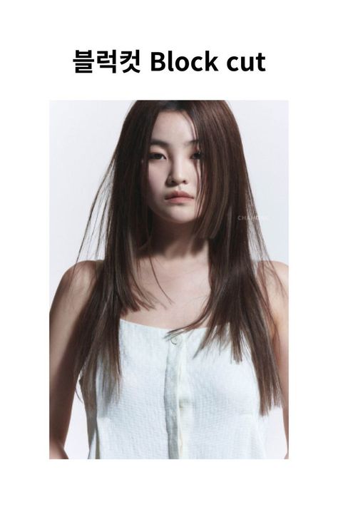 Hair Layers Asian, Blonde Light Brown Hair, Ulzzang Hair, Hair Layers, Hair Doctor, Cabello Hair, Hair Braid Videos, Shot Hair Styles, Japanese Hairstyle