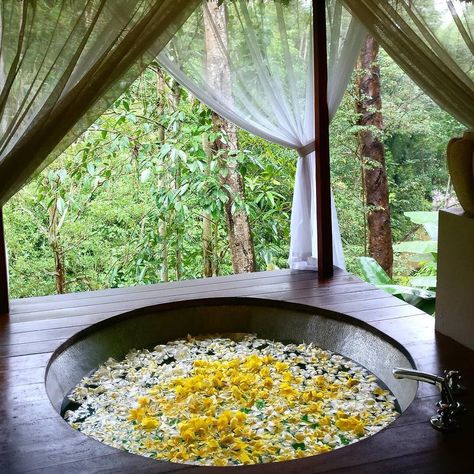 Flower Bath Aesthetic, Onsen Aesthetic, Earthy Bathroom Decor, Bali Photo Ideas, Hades Cabin, Asia Nature, Vacation Views, Bali Yoga Retreat, Nature Spa