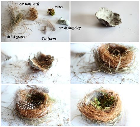 realistic  Clay Birds | Like a real nest, I wanted the base to have support and Bird Nest Craft, Bird Artists, Bird Eggs, Nature Crafts, Bird Nest, Easter Diy, Spring Crafts, Bird Feathers, Easter Decorations