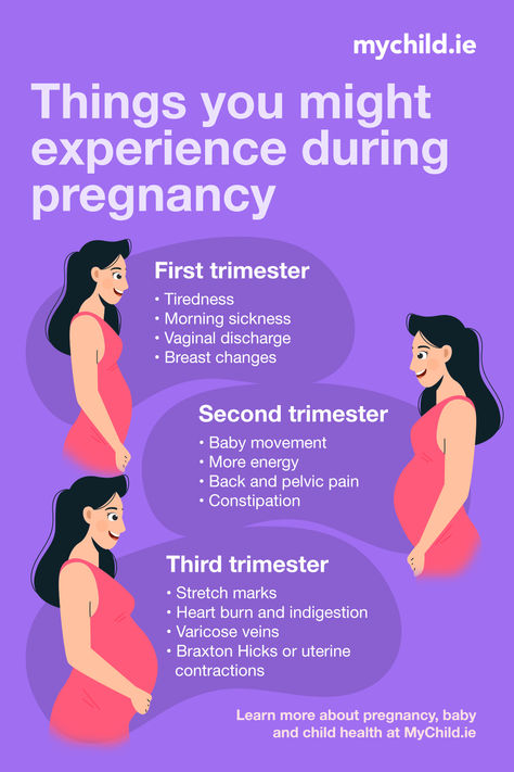 Doctor Education, Heightened Senses, Human Body Projects, Braxton Hicks, Stages Of Pregnancy, Pregnancy First Trimester, Chinese Learning, Baby Kicking, Irish Cottage