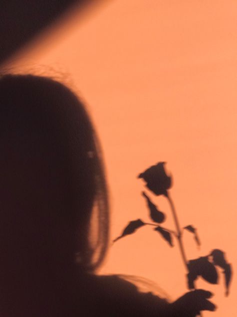 #sunset #photography #rose #shadow #fashion #aesthetic #pretty #pink Sunset Shadow Pictures, Flower Shadow Aesthetic, Shadow Pictures Aesthetic, Shadow Photography Aesthetic, Silhoutte Photography, Maddie Aesthetic, Red + Core + Aesthetic, Dark Romantasy, Shadow Fashion