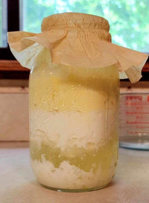 How To Make Milk Kefir - Mother Cultured How To Make Kefir Milk, How To Make Kefir, Diy Kefir How To Make, Diy Kefir, Making Kefir At Home, Coconut Milk Kefir, Milk Kefir Grains, 2nd Ferment Milk Kefir, White Chocolate Popcorn