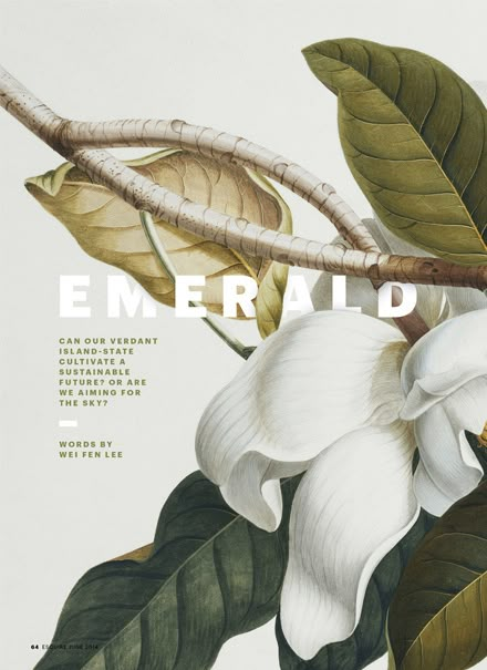 Moodboard White, Poster Grafico, Illustration Design Graphique, 달력 디자인, 타이포그래피 포스터 디자인, Poster Layout, Trik Fotografi, Design Graphique, Illustration Vector