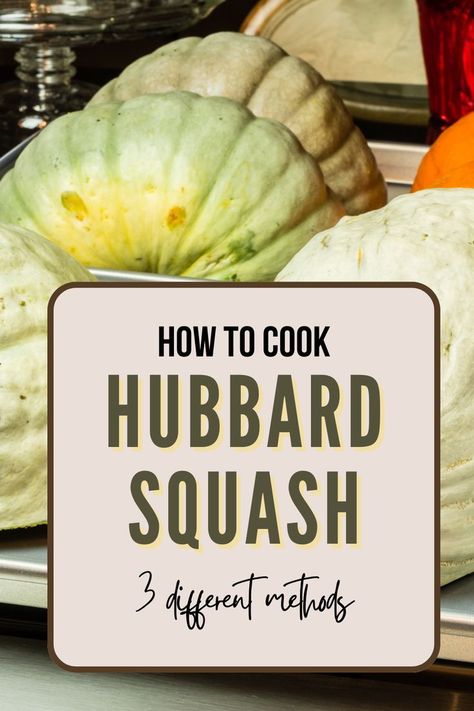 A Pinterest pin showing a Hubbard squash and key facts. The image highlights nutrition, benefits, and simple tips on cooking, buying, and storing Hubbard squash. Ideal for anyone wanting to cook healthy and tasty meals. #HubbardSquash  #SquashRecipes Hubbard Squash Recipes, Squash In Oven, Hubbard Squash, Pumpkin Varieties, Nutrition Health, Winter Squash, Squash Recipes, Cooking Essentials, Zucchini Recipes