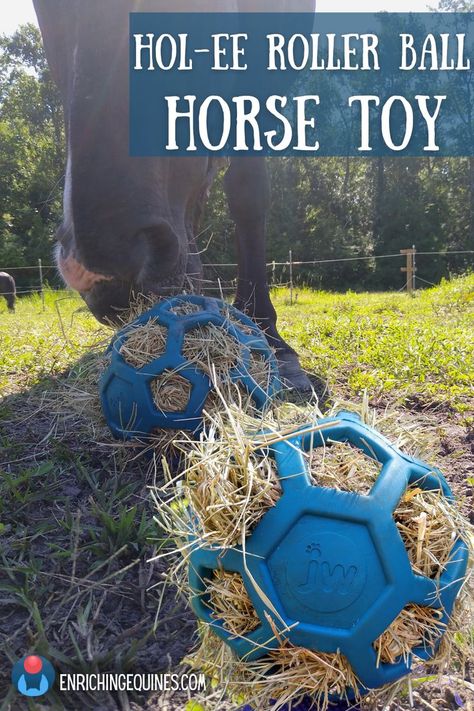 Close up of horse's nose pushing a blue honeycomb ball, webby ball, holey ball, Hol-ee roller ball full of horse hay. Enrichment For Goats, Diy Horse Boredom Toys, Toys For Donkeys, Diy Horse Enrichment Toys, Horse Toys Diy, Donkey Toys Diy, Horse Toys For Horses, Horse Stall Ideas Cheap, Diy Stables For Horses