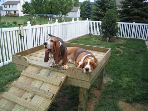 Dog Look Out Tower Design Help Please - by bjc @ LumberJocks.com ~ woodworking community Dog Lookout Tower, Dog Perch Outdoor, Dog Tower Ideas, Dog Platform Outdoor, Dog Play Area Outdoor, Dog Climbing Structure, Dog Playground Diy, Dog Outside Play Area, Dog Yard Ideas Play Areas