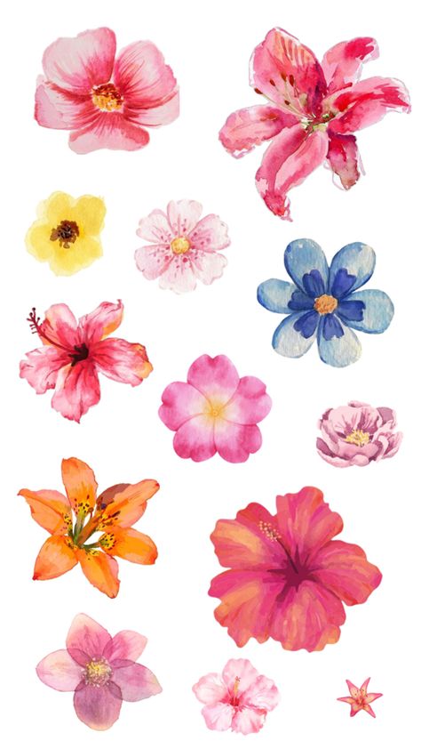 #collage #aesthetic #flower #flowers #lilies #hibiscus #watercolor #paintings #viralpost Hibiscus Flower Painting, Hibiscus Water, Hibiscus Painting, Hibiscus Watercolor, Flower Collage, Aesthetic Flower, Hibiscus Flower, Water Colour, Hibiscus Flowers