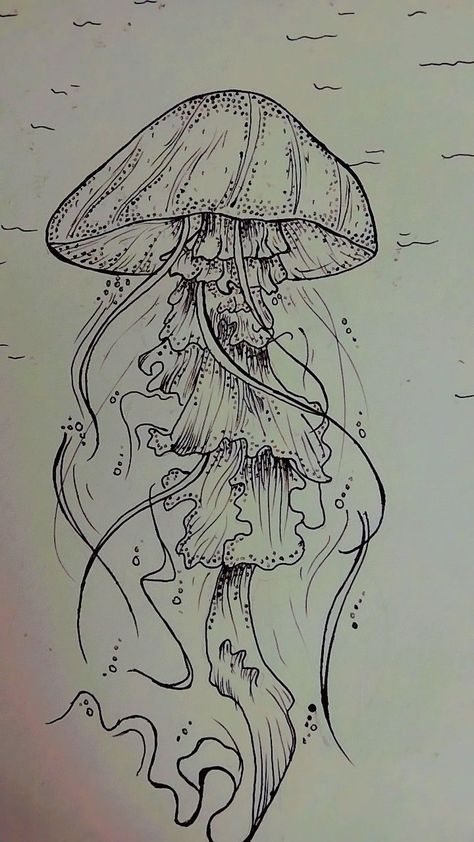 Jelly Fish Pen Drawing, Flower Jellyfish Drawing, Gcse Art Sketchbook Jellyfish, Pen Drawing Jellyfish, Sea Creatures Drawing Jellyfish, Pen Fish Drawing, Jellyfish Realistic Drawing, Pretty Jellyfish Drawing, Jellyfish Sketch Drawings