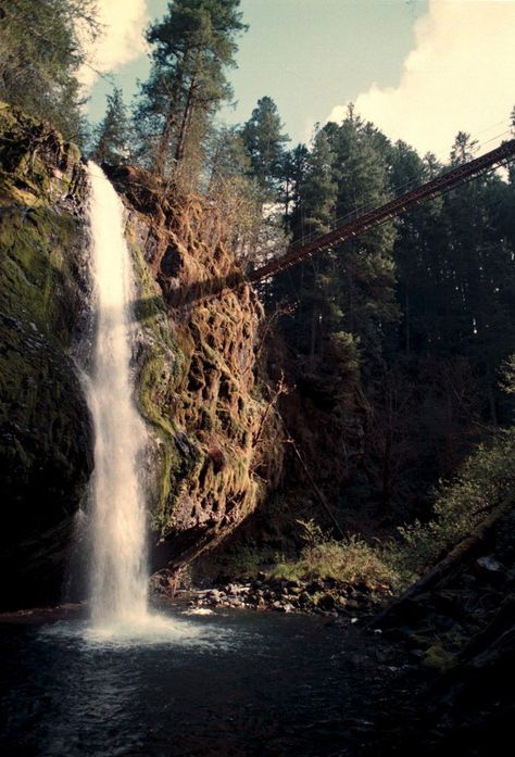 Drift Creek Falls, east of Lincoln City Northern Oregon, Northwest Landscaping, West Coast Travel, Oregon Hikes, Urban Forest, Orcas Island, Multnomah Falls, Hiking Spots, Hiking Destinations