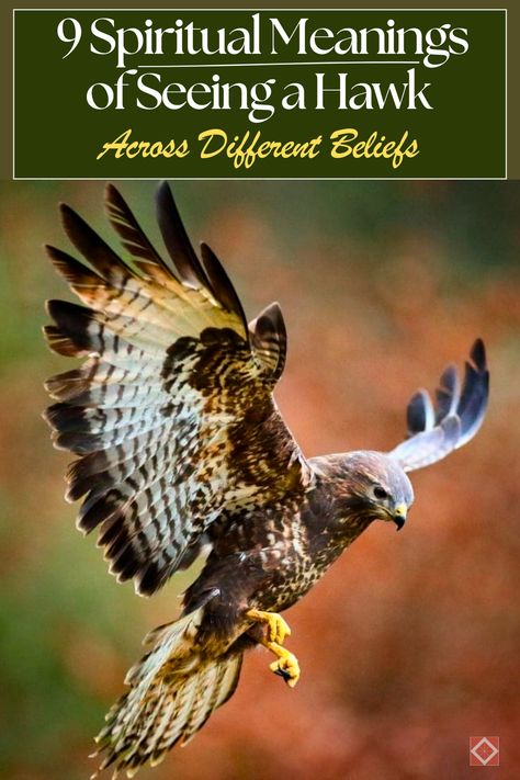 🦅 Ever wondered what it means when you see a hawk? Discover the 9 spiritual meanings of seeing a hawk across different beliefs. From symbols of freedom and vision to messages from the divine, hawks hold deep significance in various cultures. Perfect for bird watchers and spiritual seekers alike, this guide explores the rich symbolism associated with these majestic birds. #BirdWatching #Spirituality #Hawks Spiritual Meaning Of Hawk, Hawk Symbolism Meaning, Hawk Meaning Spirit Animal, Hawk Spiritual Meaning, Bird Symbolism Meaning, Hawk Meaning, Freedom Symbols, Hawk Symbolism, Hawk Spirit Animal