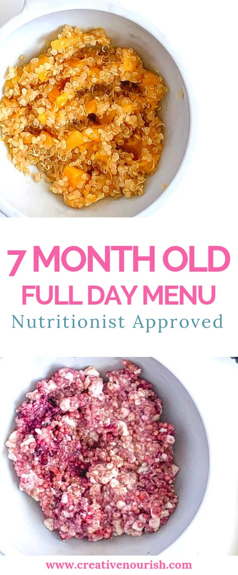 Food Ideas For 7 Month Old, 7 Month Old Food, Baby Led Weaning 7 Months, Baby Led Weaning Lunch Ideas, 7 Month Old Baby Food, 8 Month Old Baby Food, 7 Months Baby Food, Meal Plan For Toddlers, Quick Healthy Recipes