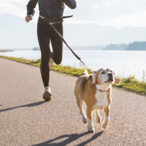 Your dog needs exercise just like you do! Jogging with your dog reduces the chance of destructive behavior such as barking and chewing. Jogging With Dog, Destructive Behavior, Dog Needs, Dog Blog, Healthy Dogs, Pet Parent, Helpful Tips, The Dog, Jogging