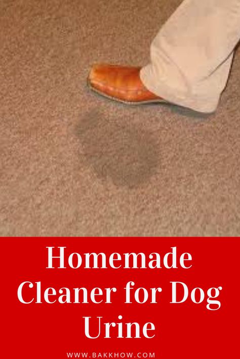 Homemade enzyme cleaner for dog urine Diy Dog Urine Repellent, Homemade Enzyme Cleaner For Dog Urine, Diy Enzyme Cleaner Pet Urine, Carpet Cleaner Homemade Dog Urine, Enzyme Cleaner For Dog Urine, Cleaning Dog Pee, Dog Urine Remover, Pet Urine Remover, Cleaning Pet Urine