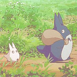 hayao miyazaki ghibli totoro miyazaki tonari no totoro Totoro Gif, Totoro Art, Studio Ghilbi, The Cat Returns, Studio Ghibli Movies, Castle In The Sky, Studio Ghibli Art, Ghibli Art, Ghibli Movies