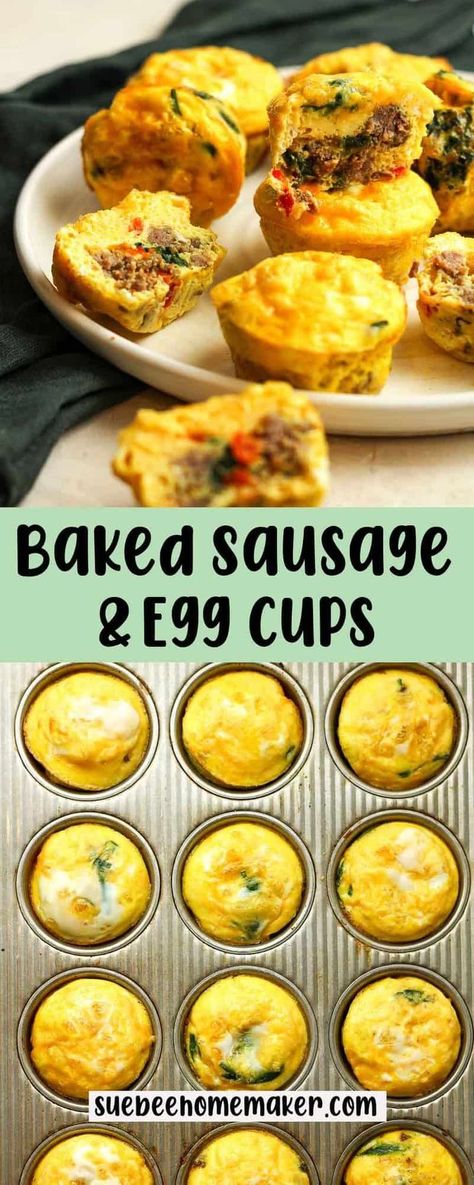 Start your morning right with these irresistible Sausage, Egg, and Cheese Muffins! A delicious blend of savory flavors in a convenient handheld package, these muffins are the perfect on-the-go breakfast solution. Sausage Egg Bites Muffin Tins, Egg Sausage Muffins, Egg And Sausage Muffins, Sausage Egg And Cheese Muffins, Sausage Egg Cheese Muffins, Egg And Cheese Muffins, Sausage Breakfast Muffins, Sausage Egg Muffins, Baked Egg Cups