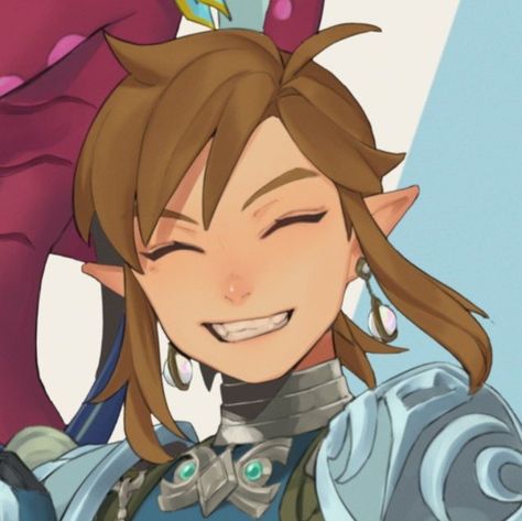 Loz Matching Pfps, Loz Matching Icons, Link X Sidon Matching Icons, Sidon Botw Icon, Link Pfp Zelda, Link Matching Pfp, Legend Of Zelda Matching Pfp, Link And Zelda Matching Pfps, The Legend Of Zelda Pfp