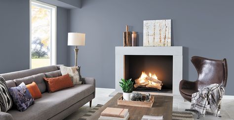 Soothing Living Room | Relaxed and Calming Living Room Gallery | Behr Behr Gray Paint, Behr Premium Plus, Behr Marquee, Wall Color Ideas, Apartment Living Room Ideas, Colors For Living Room, Behr Paint Colors, Living Room Wall Color, Room Wall Colors