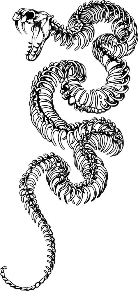 Snake Drawing Tattoo, Tattoo Designs Png, Sketch Snake, Drawing Snake, Snake Sketch, Stammestattoo Designs, Line Art Tattoo, 16 Tattoo, Traditional Tattoo Flowers