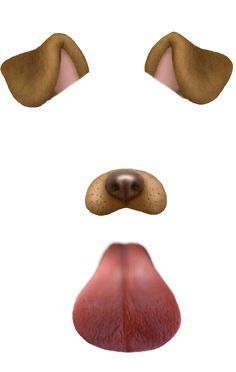 snapchat dog filter Snapchat Filters Png, Snapchat Dog Filter, Overlays Tumblr, Snap Filters, Dog Filter, Stop Overeating, Episode Backgrounds, Snapchat Filters, Instagram Dogs