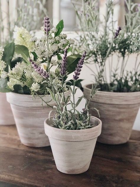 Terra Cotta Flower Pots, Small Terra Cotta Pots, White Terra Cotta Pots, Terra Cotta Pot Wedding Decor, Chalk Paint Terra Cotta Pots, Flowers In Terracotta Pots, White Terracotta Pots, Plants In White Pots, White Wash Terra Cotta Pots