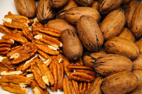 When to Harvest Pecans? »Top Picking Tips Pecan Tree Care, Harvesting Pecans, Acreage Ideas, Home Farming, Squirrel Tattoo, Vegetable Harvest, Pecan Tree, Nut Trees, Garden Sanctuary