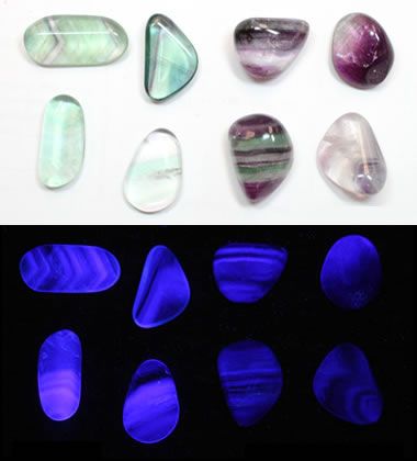 Found in Puerto Rico Polishing Rocks, How To Polish Rocks, Rocks And Fossils, Rock Minerals, Ultraviolet Light, Mineral Stone, Minerals And Gemstones, Rocks And Gems, Rock Crafts