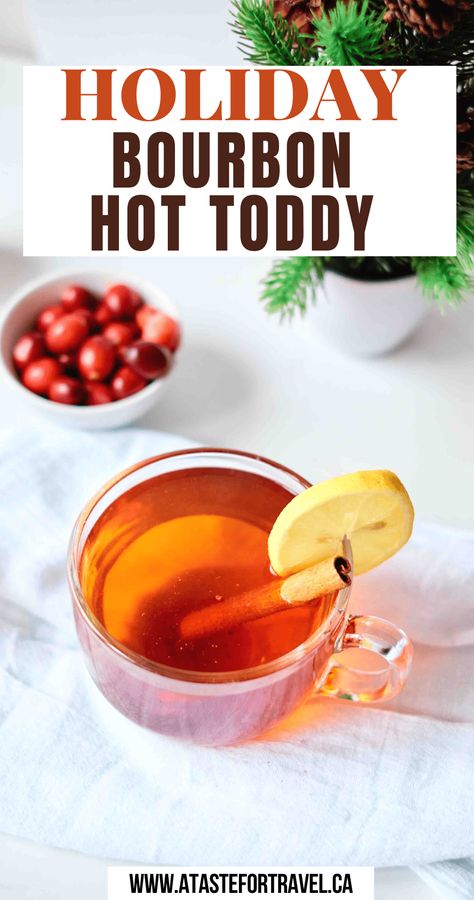 A Hot Bourbon Toddy is a classic warm drink to serve at a holiday party. Its soothing mix of lemon, smooth bourbon and honey is perfect for chilly weather or, if you've got a cold or sore throat. Hot Toddy Recipe Bourbon, Bourbon Hot Toddy, Cold Weather Drinks, Hot Toddy Recipe, Toddy Recipe, Hot Toddies Recipe, Honey Bourbon, Christmas Breakfast Recipe, Bourbon Drinks