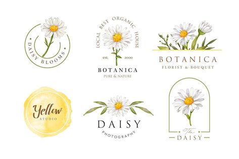 Daisy Logo Design Ideas, Daisy Logo Design, White Jasmine Flower, Daisy Logo, Spring Logo, Daisy Drawing, Watercolor Daisy, Feminine Logo Design, Makeup Logo Design