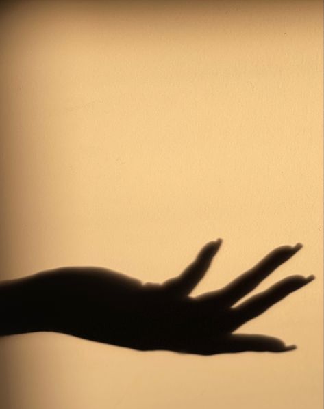 Hand Shadow Photography, Shadow Hands Aesthetic, Hand Shadow Aesthetic, Hands Shadow, Hand Holding Rose, Hand Shadows, Hand Silhouette, Hands Reaching Out, Shadow Illustration