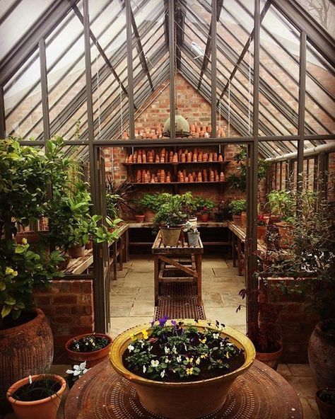 21 Space-Saving Greenhouse Shelving Ideas Greenhouse With Kitchen, Greenhouse Room In House, Green House Room, Green House Interior Design, Greenhouse Extension, Living In A Greenhouse, Inside Greenhouse Ideas, Greenhouse Shelving Ideas, Tree Greenhouse