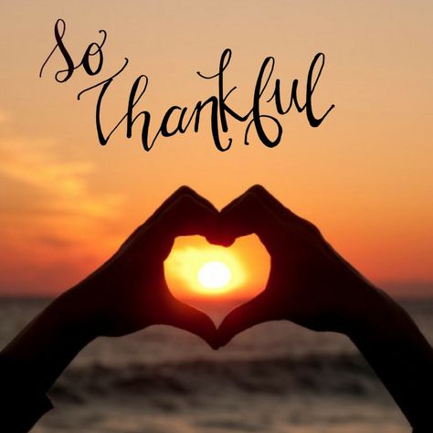 Thankful Pictures, Hands Wallpaper, Hand Wallpaper, Retro Tee, Grateful Heart, Chicago Illinois, Happy Thanksgiving, For Today, Positive Thoughts