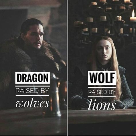 Game Of Thrones Instagram, Game Of Thrones Meme, Game Of Thrones Facts, Game Of Thrones 3, Raised By Wolves, Got Game Of Thrones, Game Of Thrones Quotes, Game Of Thrones Funny, Got Memes