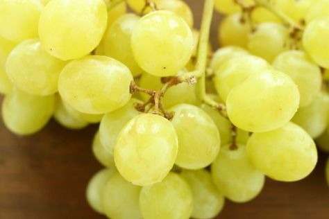 White Grape Jelly Recipe, Green Grape Jam, Green Grape Jelly Recipe, Green Grapes Recipes, Grapes Recipes, Grape Jam Recipe, Quick Jam, Homemade Grape Jelly, Yellow Kitten