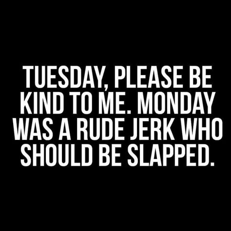 Board Sayings, Funny Quotes Sarcasm, Tuesday Quotes, Tuesday Humor, Monday Humor, Weekday Quotes, Work Quotes Funny, Morning Quotes Funny, Good Morning Funny