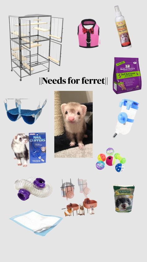 :Next is what not to give your ferret!! || #ferret #needs Ferret Diy Toys, Pet Ferret Cage, Ferret Types, Angora Ferret, Ferret Names, Ferret Diy, Ferret Care, White Ferret, Ferret Stuff