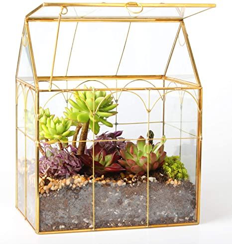 Terrarium Succulent, Moss Centerpieces, Build A Terrarium, Miniature Terrarium, Plant Terrarium, Terrarium Containers, Glass Hinges, Geometric Terrarium, Tiny Plants