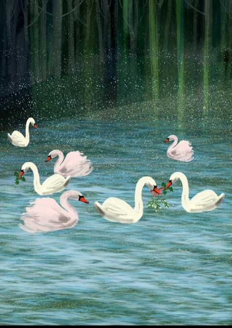 Seven swans a swimming ! Seven Swans A Swimming, 7 Swans A Swimming, Christmas Swan, Seven Swans, Lindsay Letters, Summer Vision, Swans Art, Winter Inspiration, 2024 Christmas