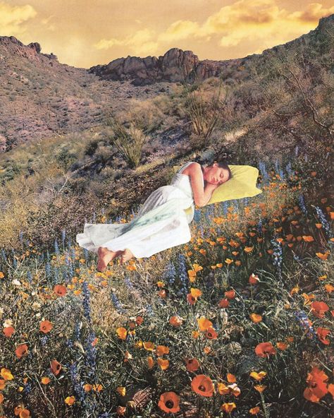 Beth Hoeckel, Mushroom Plant, Garden Mushrooms, Desert Flowers, Cosmic Art, Lily Pond, Secret Places, Collage Artists, Horticulture