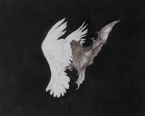 Bat and Dove Holy Symbol, Fallen Angel, Pigment Ink, In The Dark, The Sky, Art Inspo, Art Reference, Bat, Cool Art