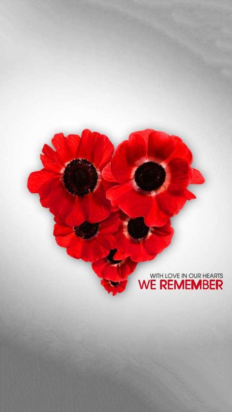 Remembrance Day Wallpaper Discover more Lest We Forget, Memorial Day, Military, November 11, Poppy wallpaper. https://www.ixpap.com/remembrance-day-wallpaper-4/ Poppy Pictures Remembrance, Remberence Day, Remembrance Day Wallpaper, November 11 Remembrance Day, Remembrance Day Images, Remembrance Day Photos, Poppy Remembrance Day, Remembrance Day Canada, Remembrance Poppies