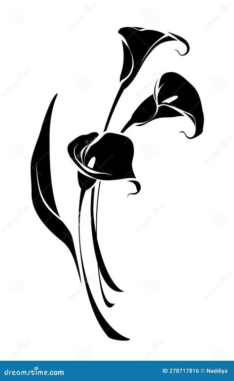 Calla Lily Illustration, Calla Lily Flowers, Flowers Vector, Lily Tattoo, Lily Flowers, Flowers Black, White Illustration, Black Silhouette, Background Black