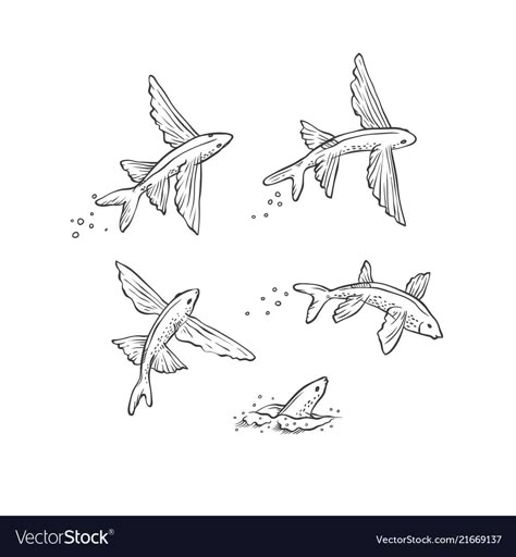 Fish Jumping Drawing, Jumping Fish Illustration, Swimming Fish Drawing, Jumping Fish Drawing, Flying Fish Tattoo Design, Freshwater Fish Tattoo, Fly Fish Tattoo, Fish Swimming Tattoo, Sea Animals Sketch