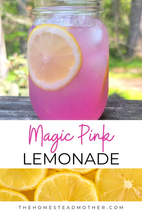 Wild Violet Pink Lemonade - The Homestead Mother Drinks With Pink Lemonade, Pink Lemonade Party Punch, Unique Lemonade Recipes, How To Make Pink Lemonade, Fairy Lemonade, Colorful Lemonade, Magic Lemonade, Glitter Lemonade, Pretty Lemonade